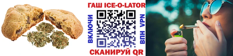 MEGA ONION  как найти закладки  Новоузенск  Cannafood марихуана 