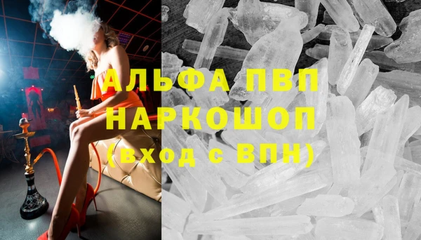 эйфоретик Новокубанск